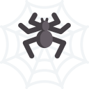 animals,nature,insect,cobweb,trap,spider web,entomology